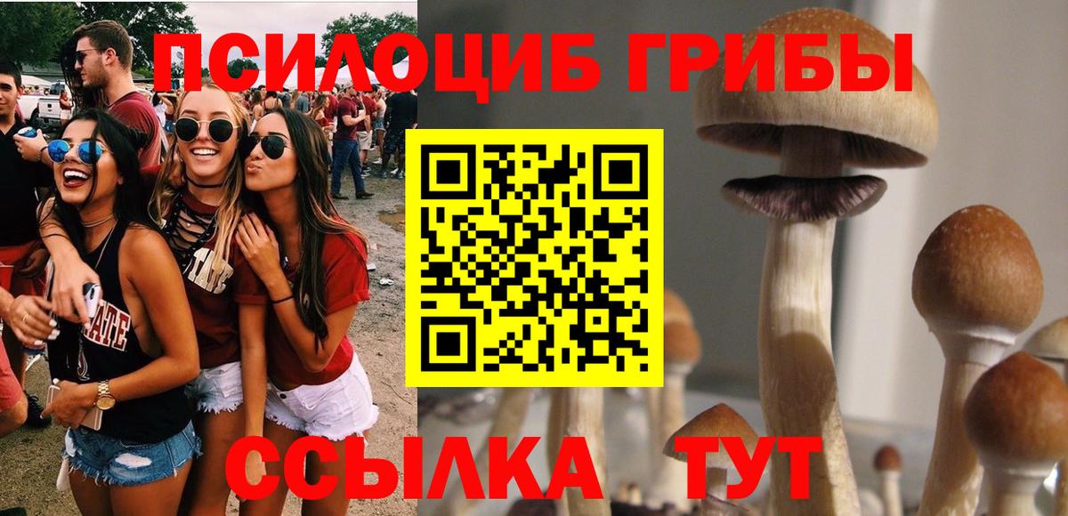 Рославль  Псилоцибиновые грибы мухоморы  Вход с VPN 