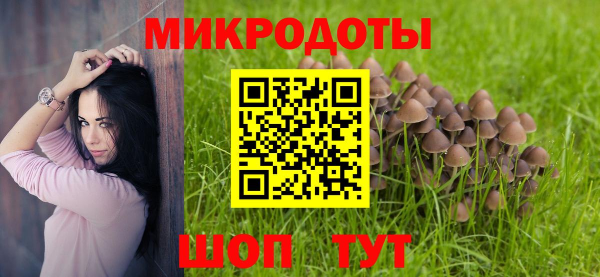 Псилоцибиновые грибы прущие грибы  Рославль 