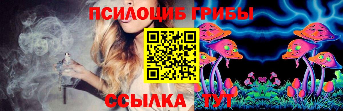 Галлюциногенные грибы Cubensis Рославль